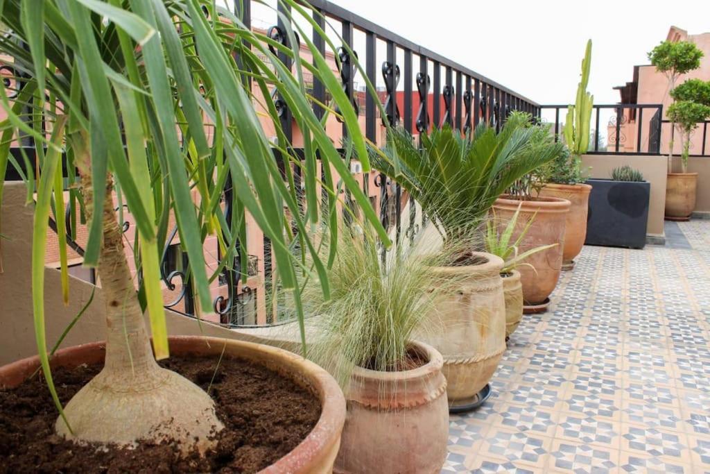 Dar Nouonsa Apartment Marrakesh Exterior photo